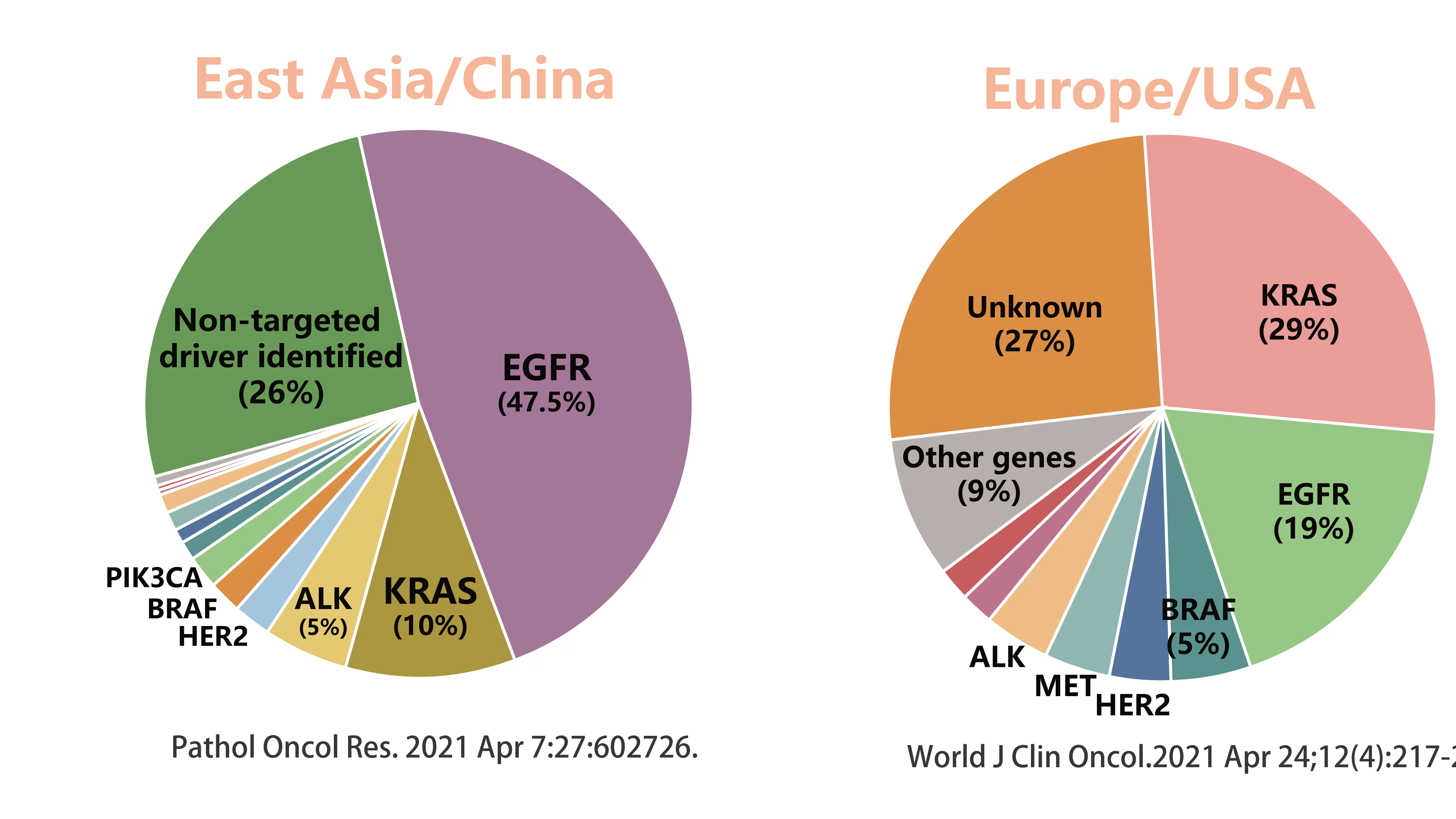 GENE MUTATION AND TUMOR