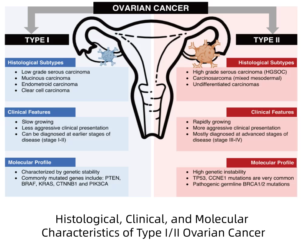 OVARIAN CANCER