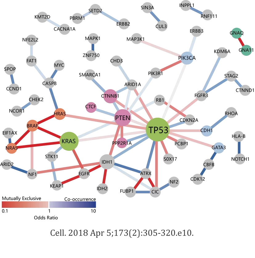 GENE  MUTATION AND TUMOR