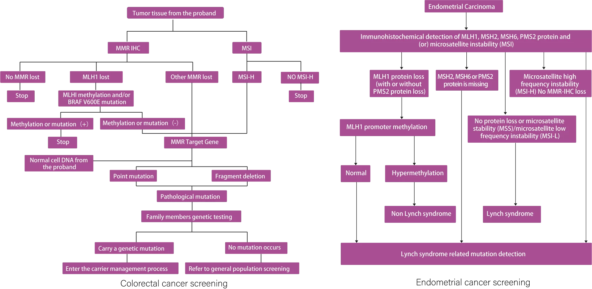 GENE  MUTATION AND TUMOR