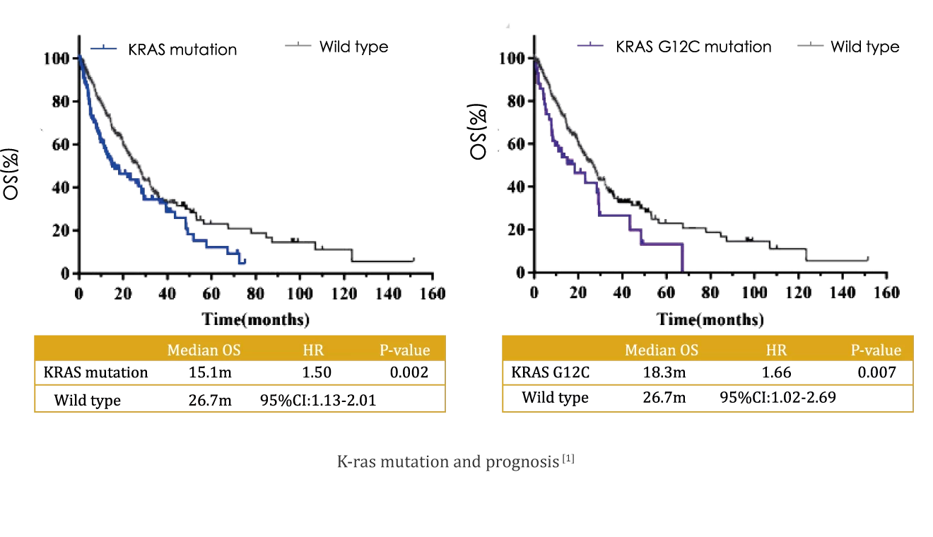KRAS MUTATIONS IN LUNG CANCER