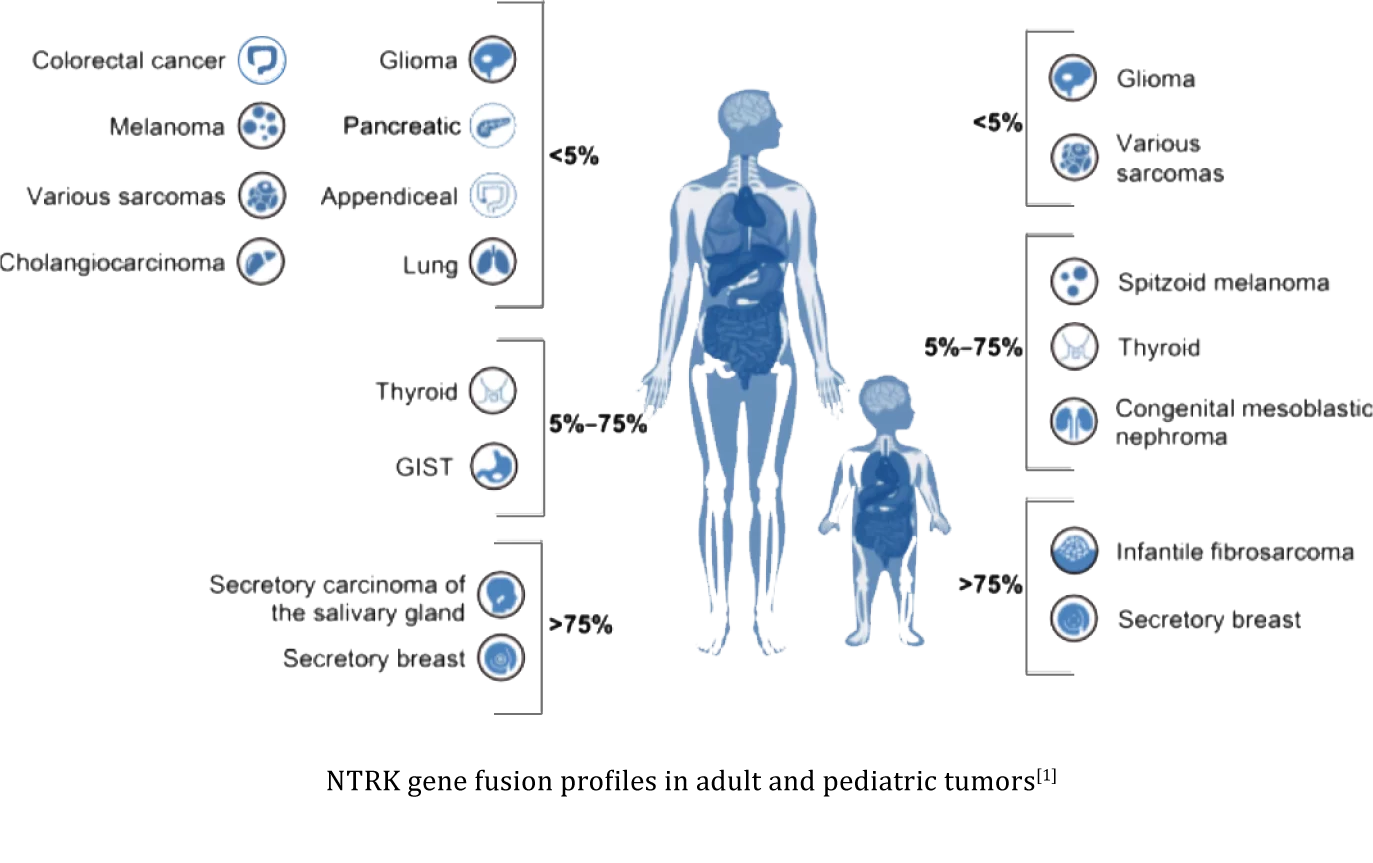 INTRODUCTION OF NTRK GENE