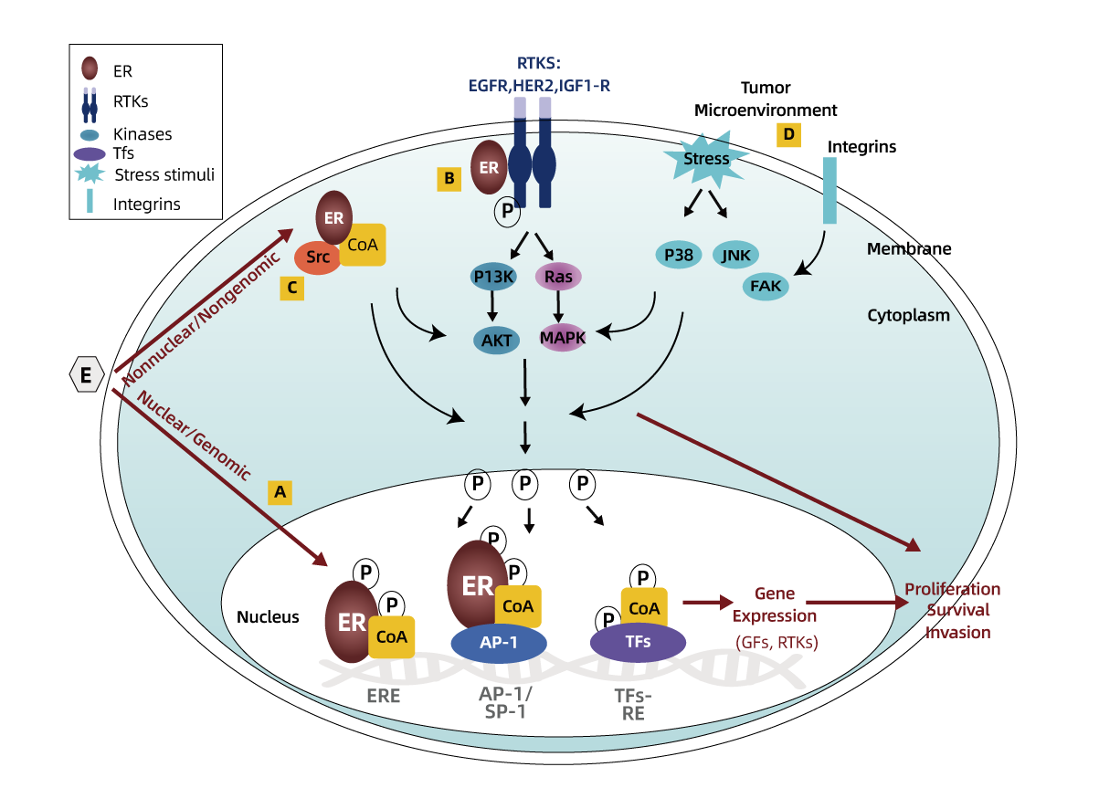 GENE  MUTATION AND TUMOR