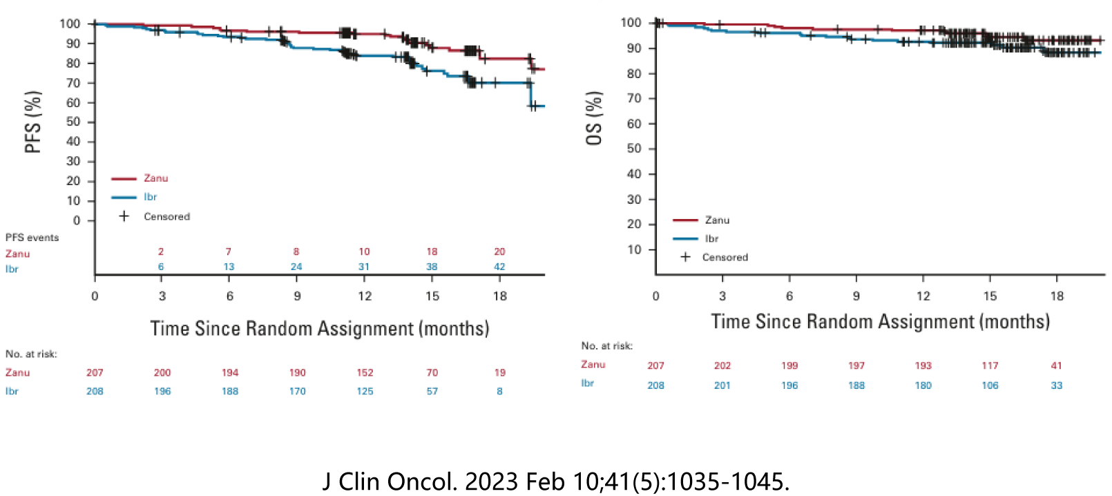 MYD88 AND LYMPHOPLASMIC CELL LYMPHOMA