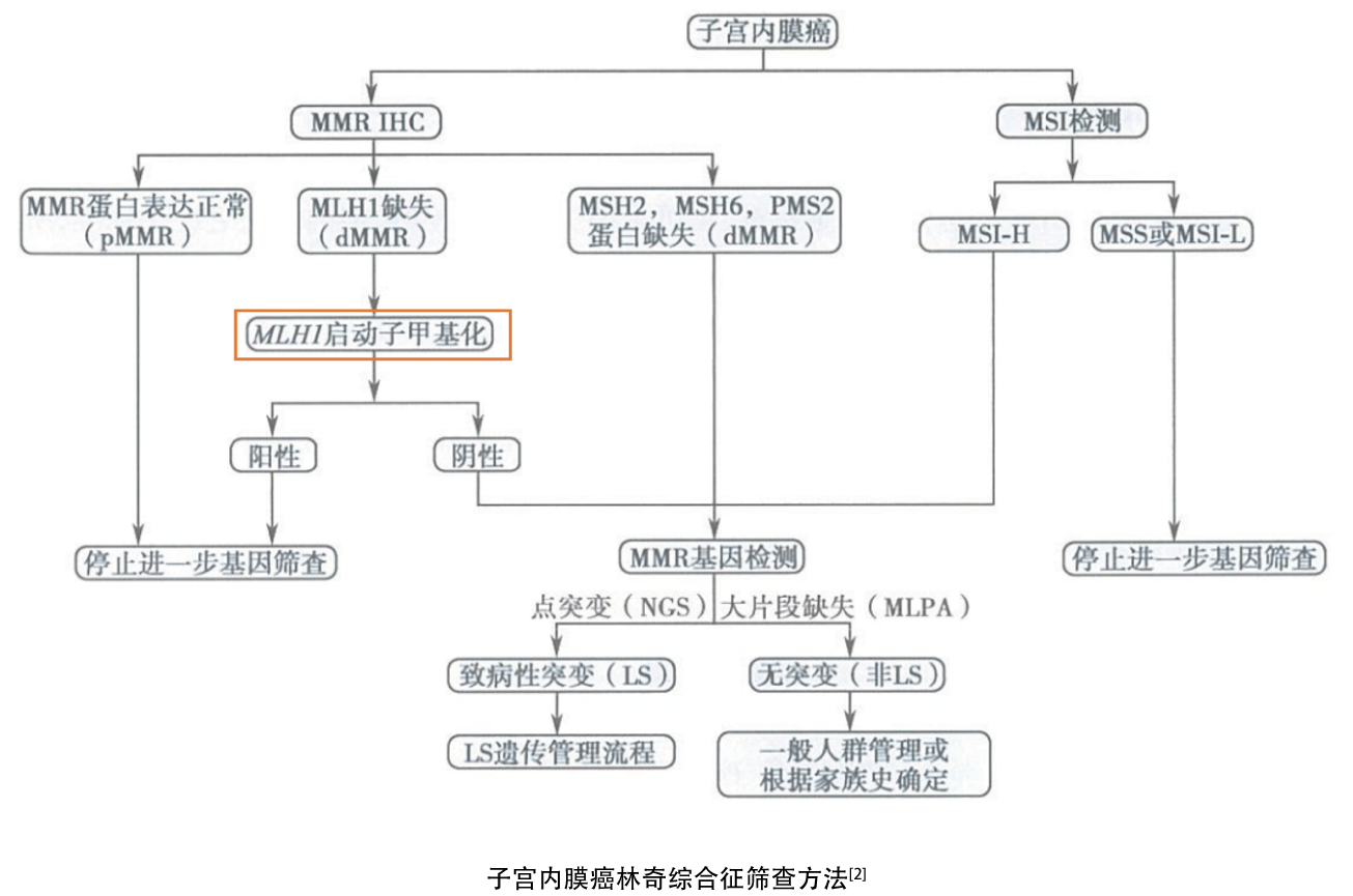 背景