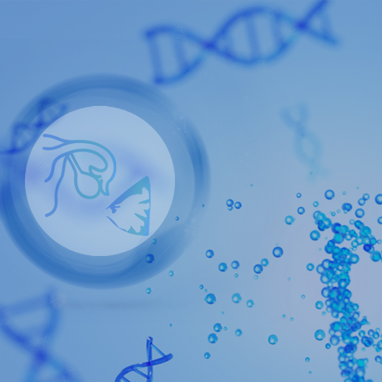 BRCA1/2基因突变检测  （高通量测序法）