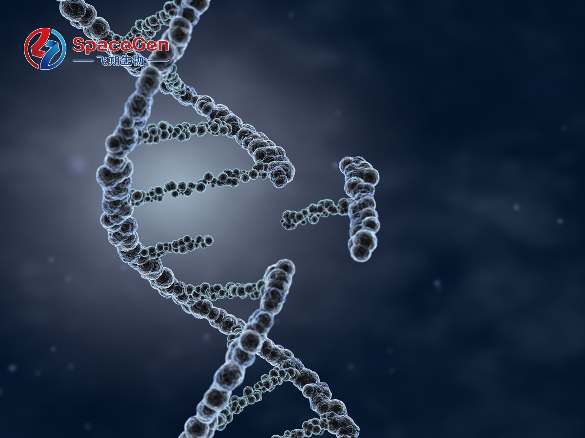 MRD Strategy Following the FDA’s Breakthrough