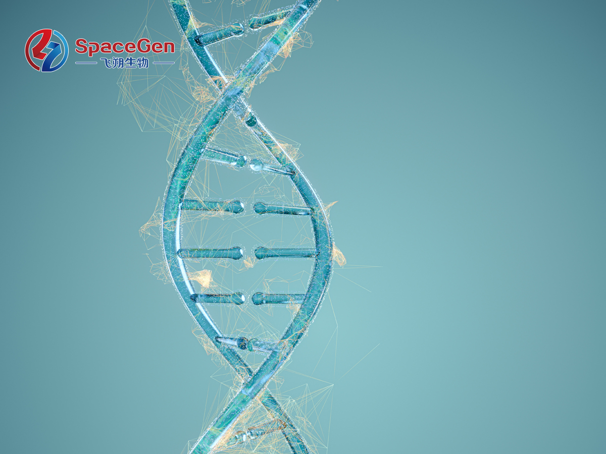 Novel Therapeutic Strategies for Biliary Tract Tumors: A Comprehensive Comprehension of Genetic Testing for Biliary Trac