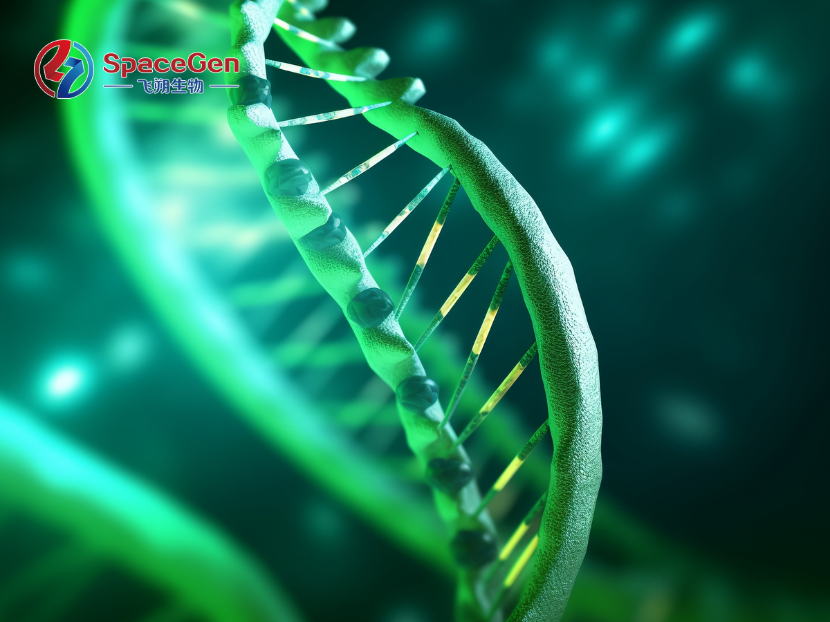 FDA approves NGS blood test oversized panel, a new milestone in liquid biopsy