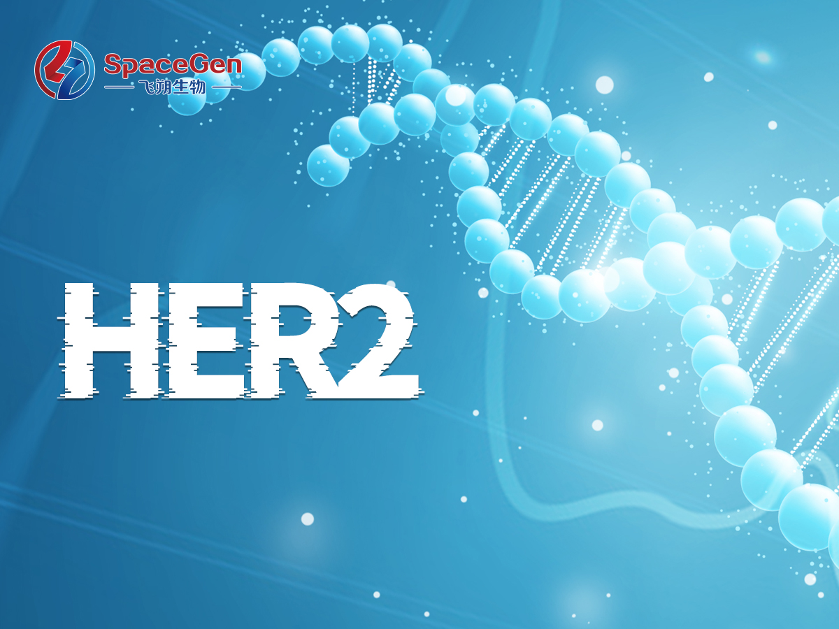 德曲妥珠单抗再扩适应症，开启HER2超低表达乳腺癌患者治疗新篇章