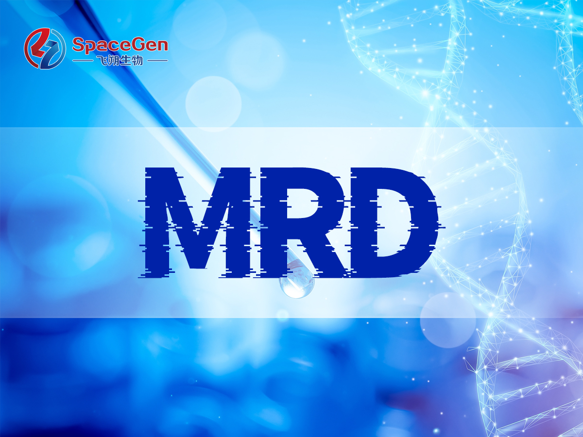传统标准漏诊76%高危患者？MRD引领膀胱癌术后精准免疫新时代