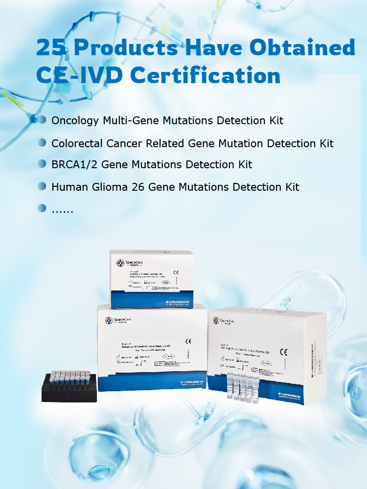 CE