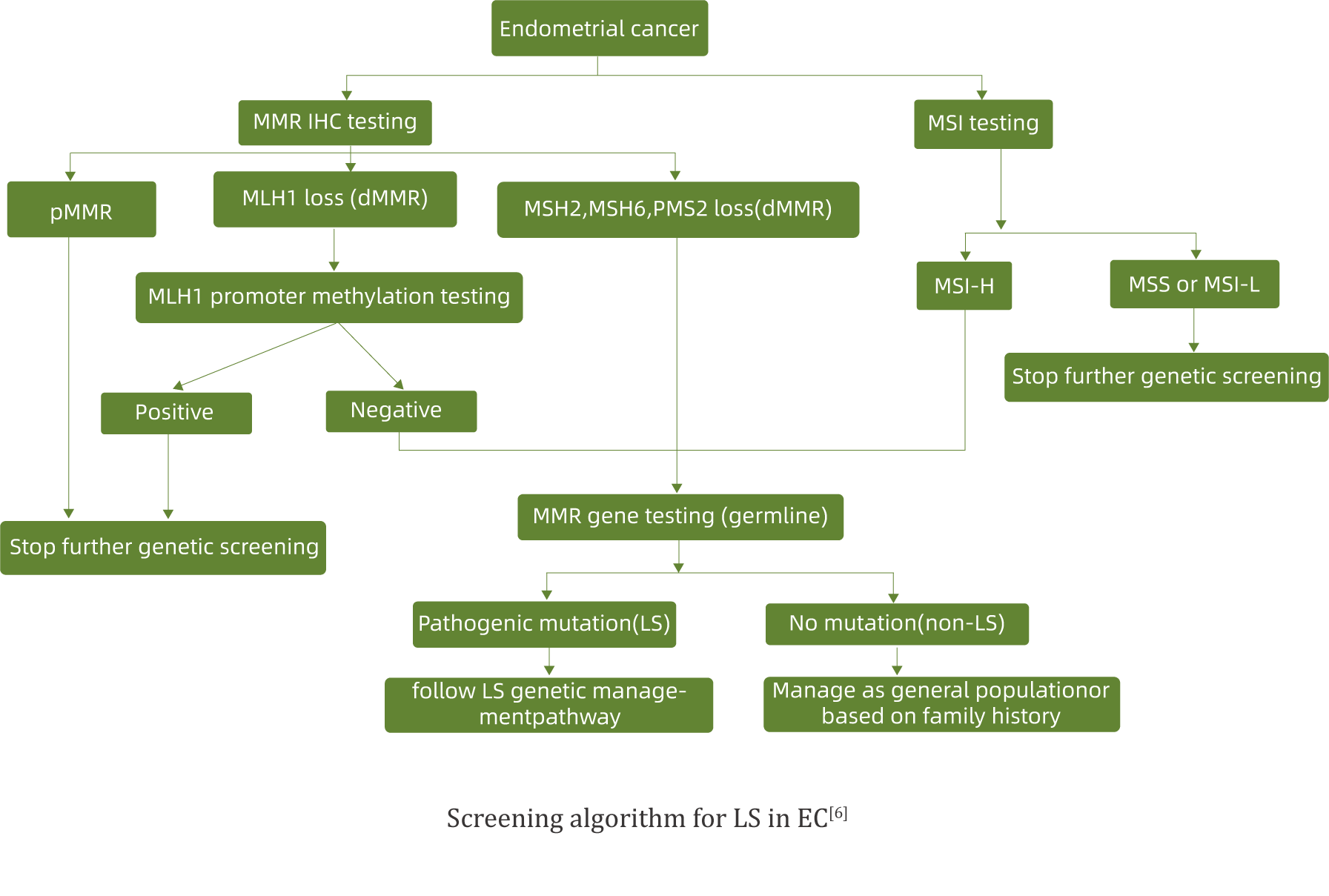 GENE MUTATION AND TUMOR