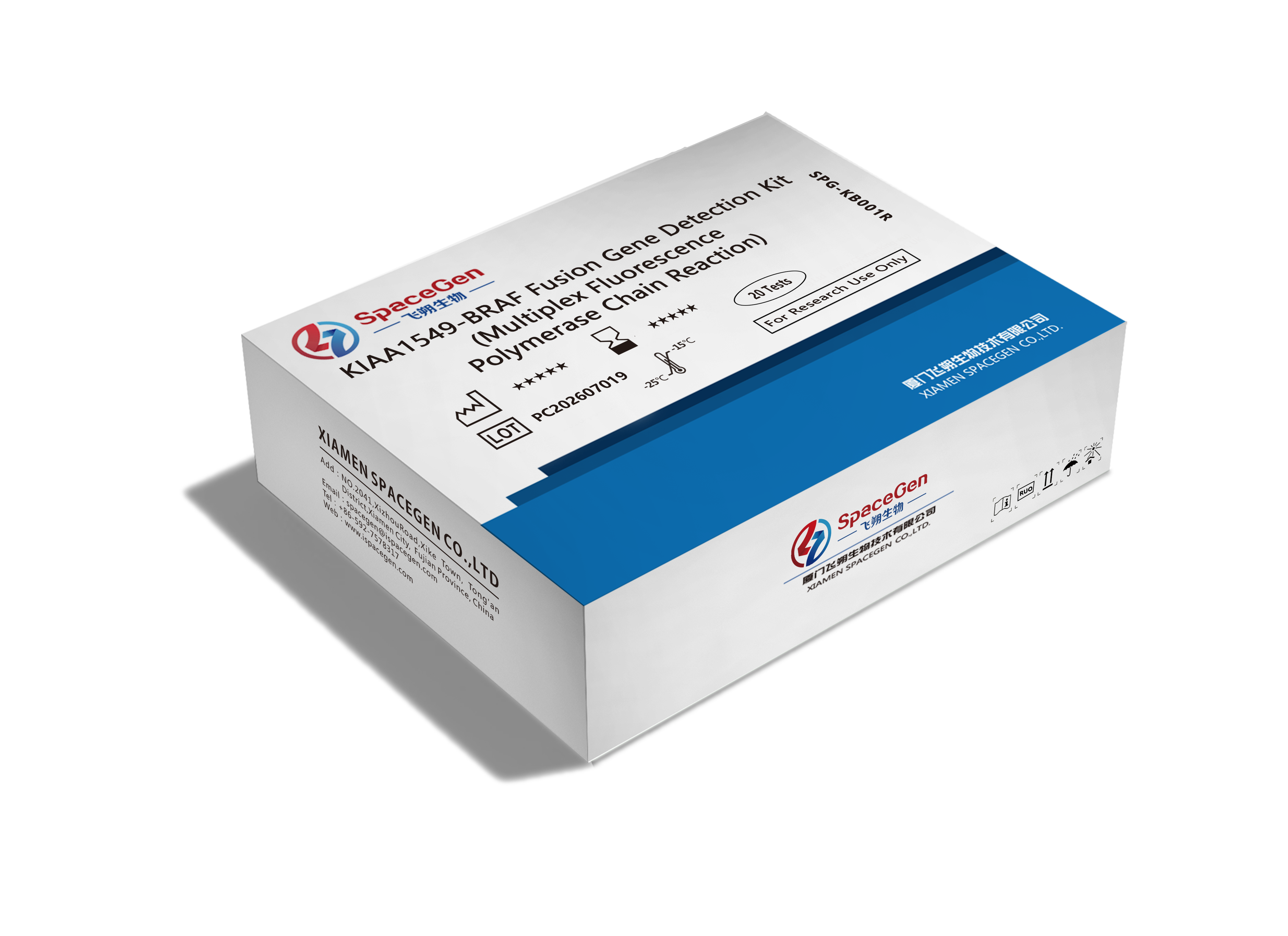 KIAA1549-BRAF Fusion Gene Detection Kit