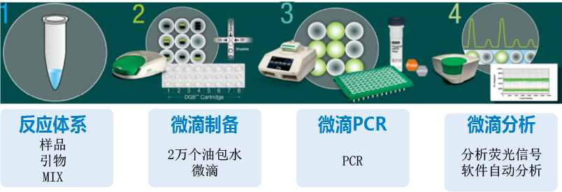 1778468167723854.png 资源 1@2x.png