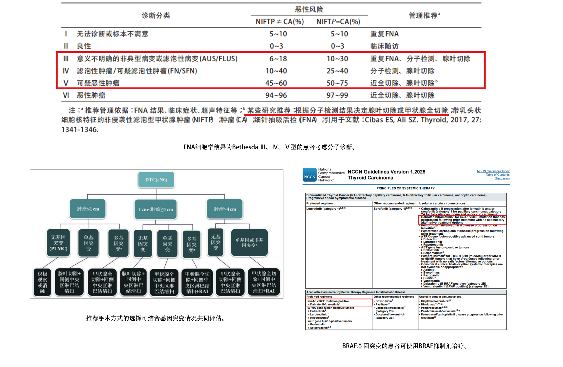 1778726447150776.png 资源 1.png